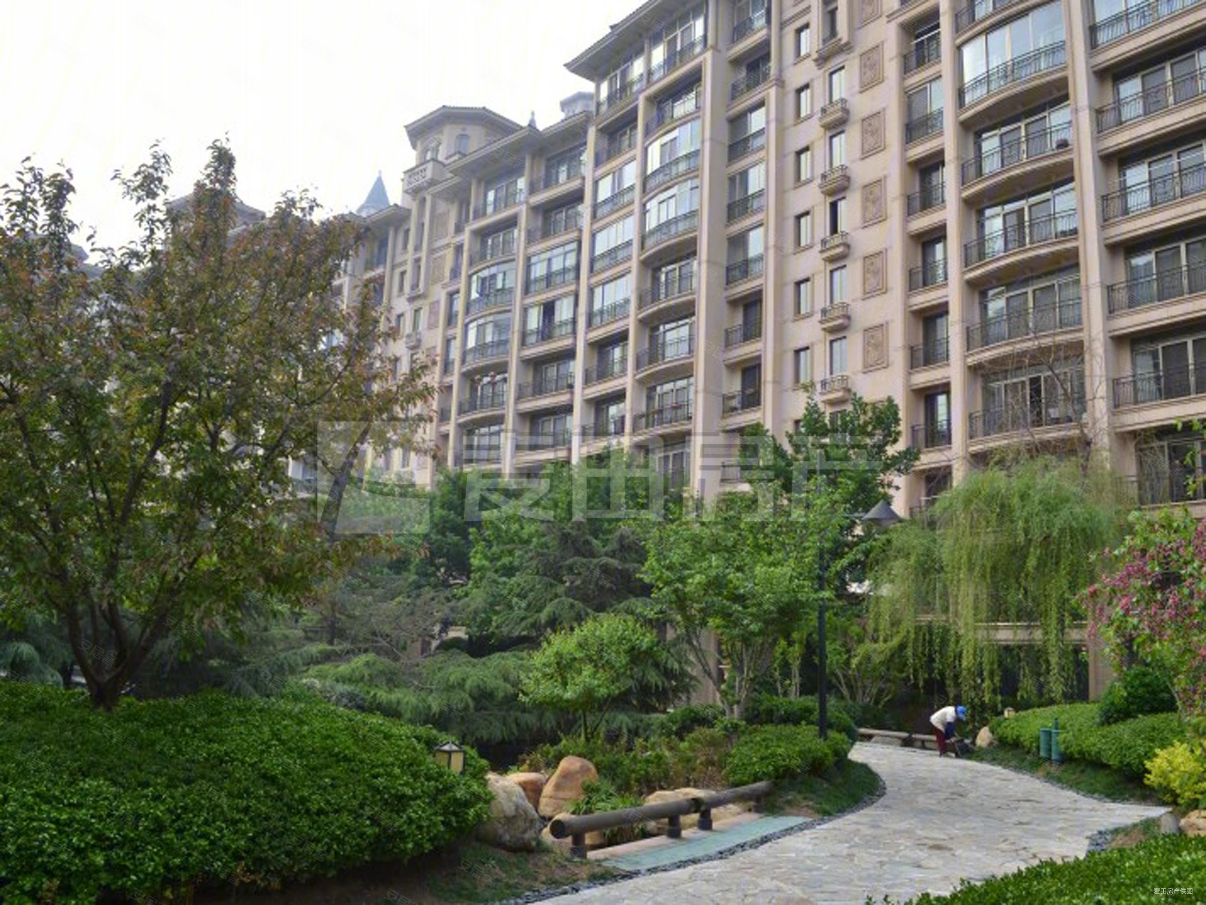 超低密度 带电梯 高楼层视野好 南北通透 满五,星河湾畅园二手房,2250