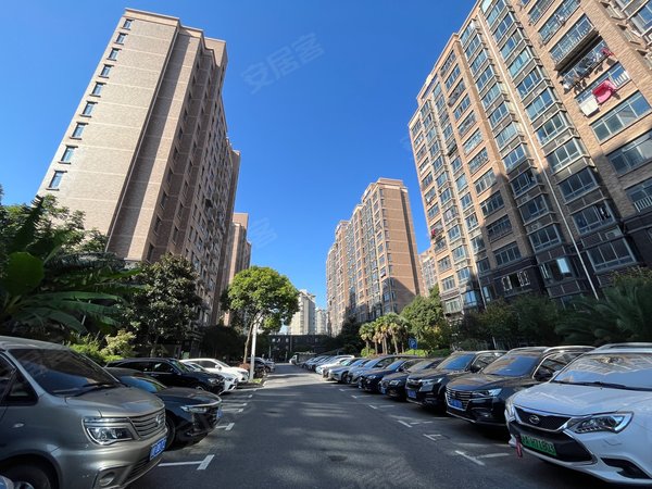 上海静安阳城永和永和馨园本人实拍视频图片 除了男女不配其他都可以