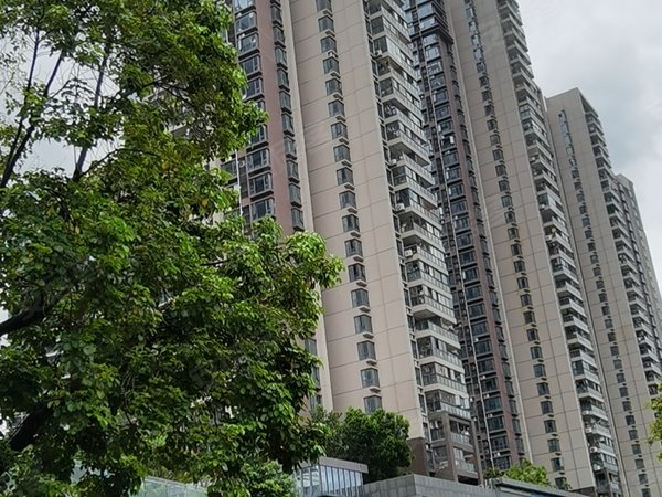 深圳龙岗横岗thetown乐城乐城,荷坳地铁站,精装两房出租出租房源真实