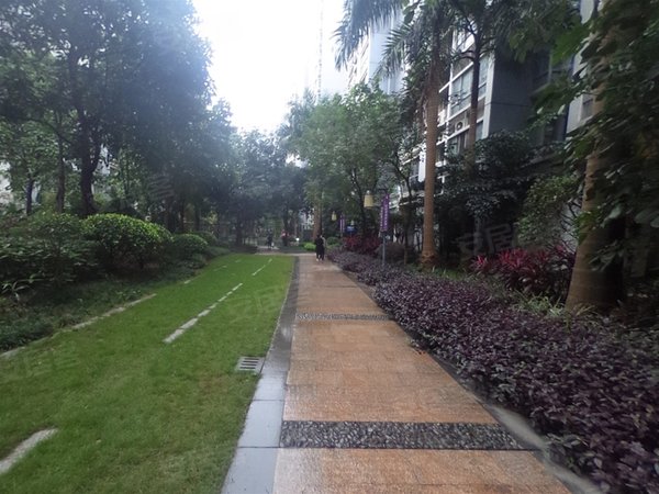 【多图】汇东郦城,凤岭南租房,地铁汇东郦城 3室2厅2卫 电梯房 119平