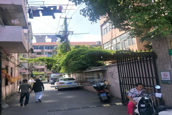 浦东大道2511弄小区