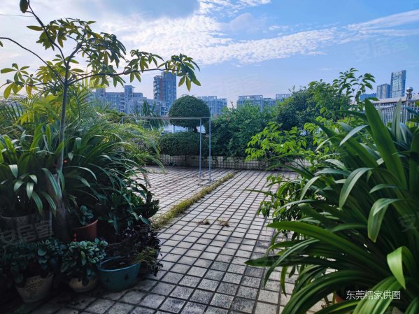 金丰花园天景居 商业配套成熟 中间楼层采光好 近地铁