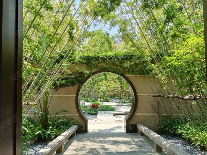 城北西天尾大学城建发磐龙府玖华府高层毛坯三房,建发磐龙府二手房