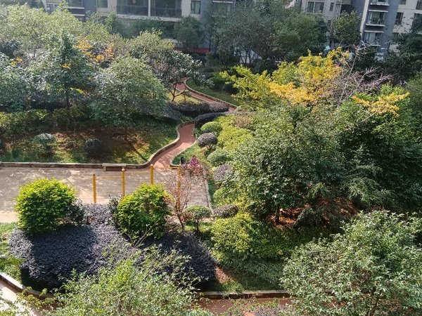 曲靖麒麟南市区金座福城南片区 精装四房 家具家电齐全 拎包入住出租房源真实图片