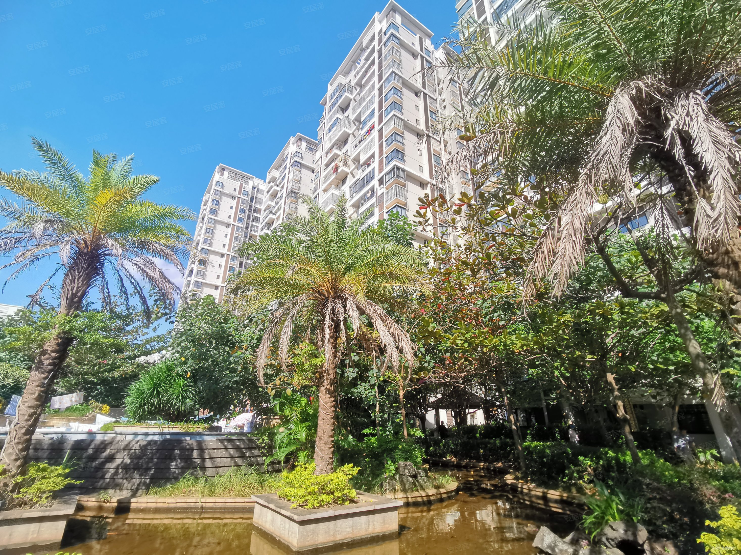 友谊南海城旁教师房兰亭雅苑精装三房随时看房