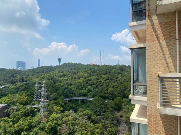 厦门思明湖滨北路陶然北岸七星滨东校区 滨北小学旁 陶然北岸 电梯