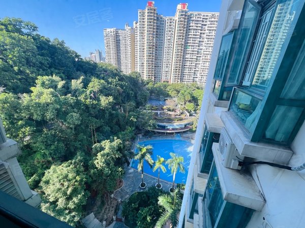 深圳福田皇岗云顶翠峰(一期)福田中心区附近 4室2厅2卫 小高层 南北