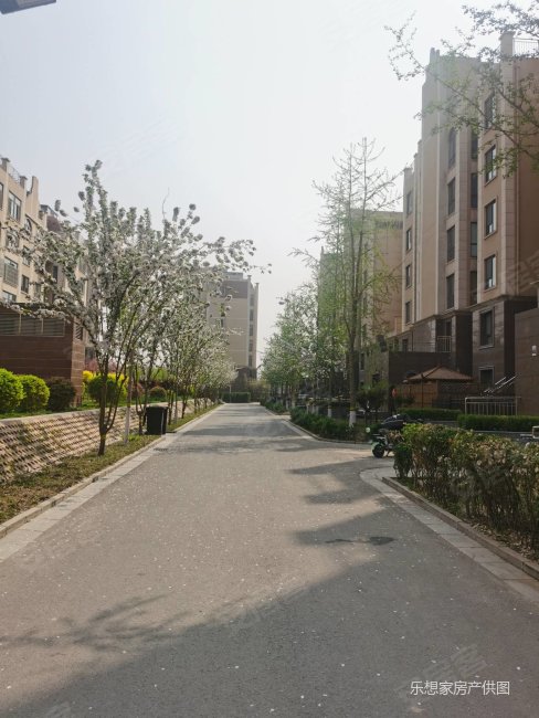 44中白金汉府叙利亚风格两室装修可自由发挥