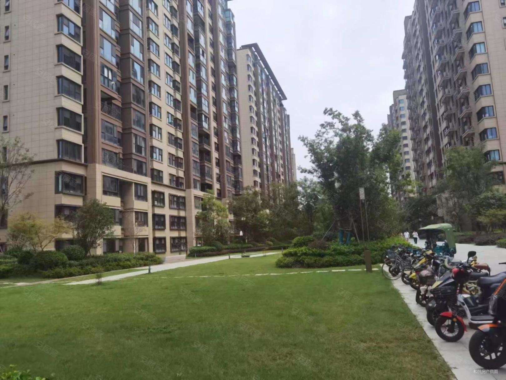 仙林湖金中金小高品质低总价抄底的机会