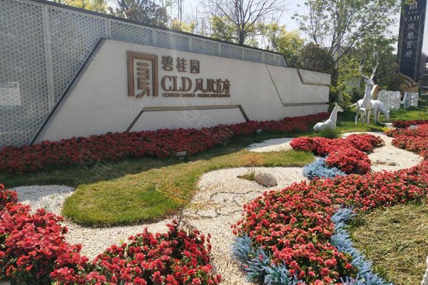 碧桂园cld凤凰首府周边房产中介经纪人评价-济南安居客