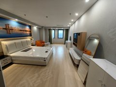 亳州谯城亳州万达广场万达公寓整租独门独户一室一厅一厨一卫公寓，采光好出租房源真实图片