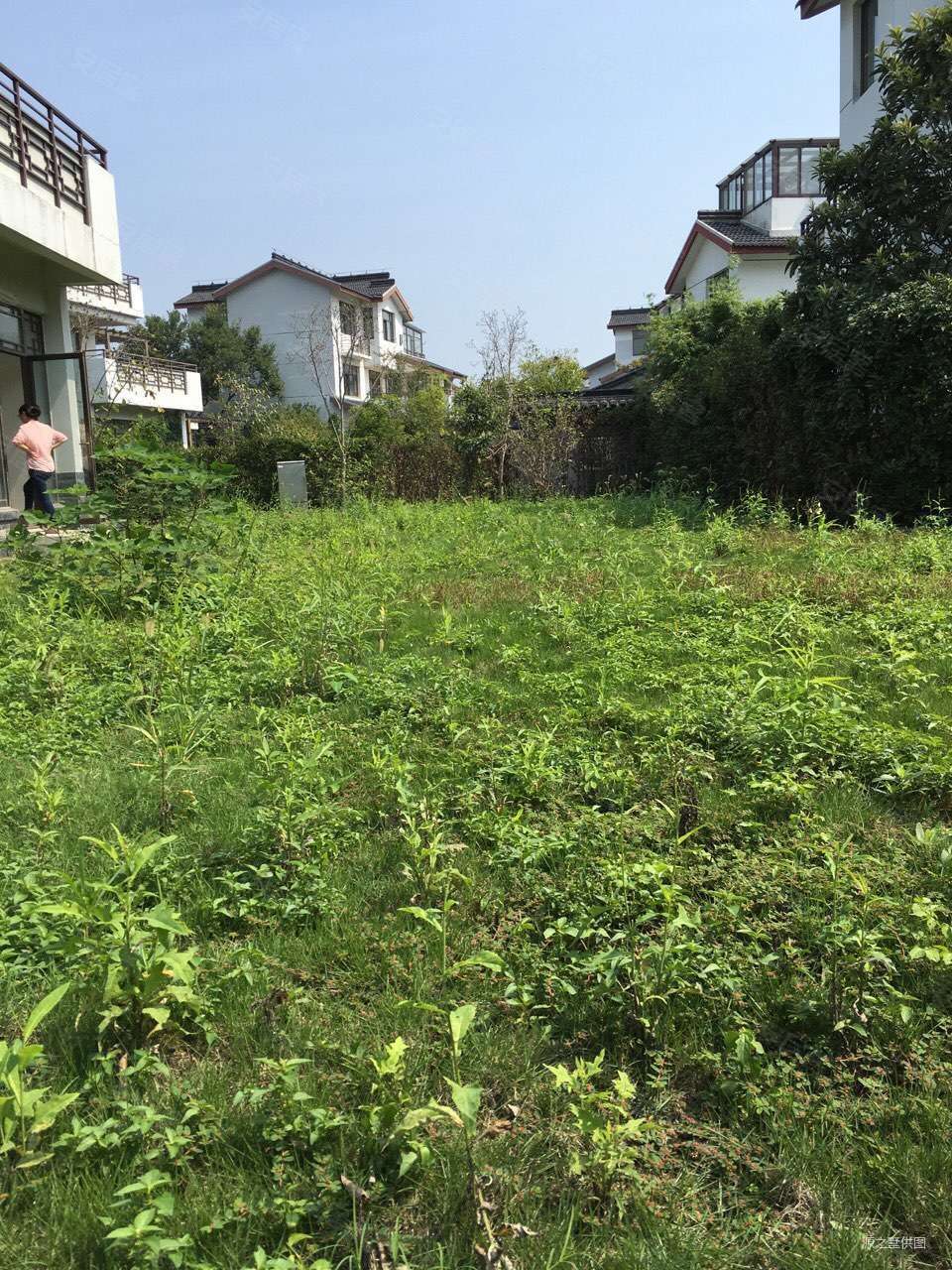 东山景园独栋别墅花园610平苏州太湖东山宾馆旁方便看房