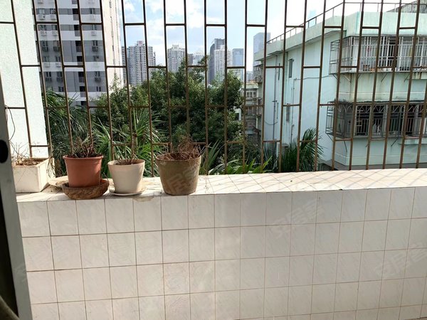 深圳福田莲花村莲花二村房源采光好,南北通透,业主诚意出租出租房源