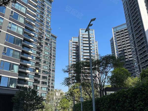 深圳南山海上世界半山臻境半山臻镜 三房两卫 第一次放租的房子13500