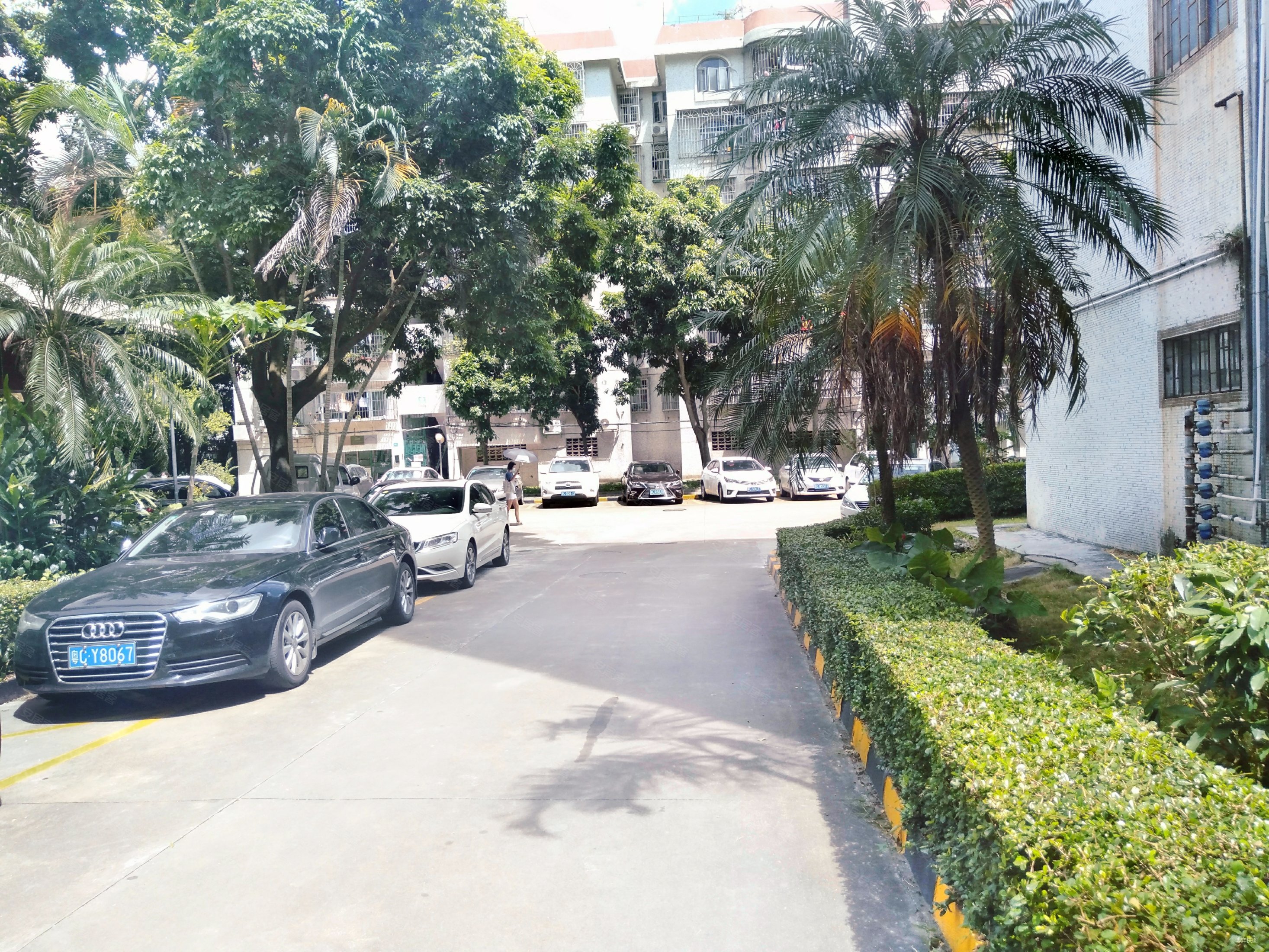 金溪花园3室2厅1卫88.38㎡南165万