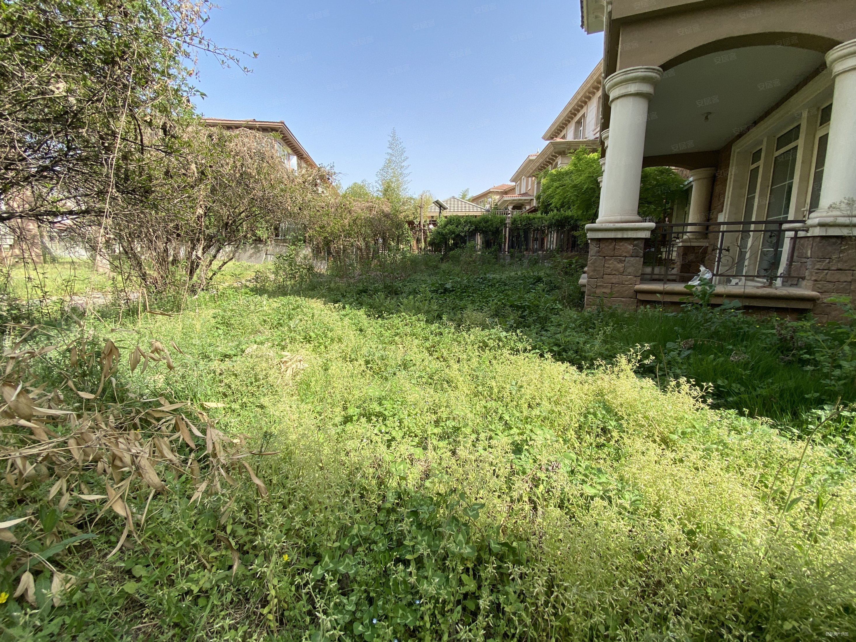 临河 独栋别墅 国宝花园 300多平环绕式花园 独栋别墅区