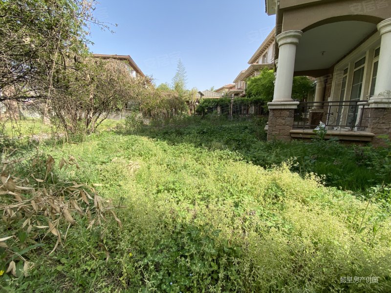 临河 独栋别墅 国宝花园 300多平环绕式花园 独栋别墅区