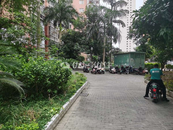 【多图】棕榈湾,安吉租房,棕榈湾 押二付三 2室 整租 精装 63平 视野