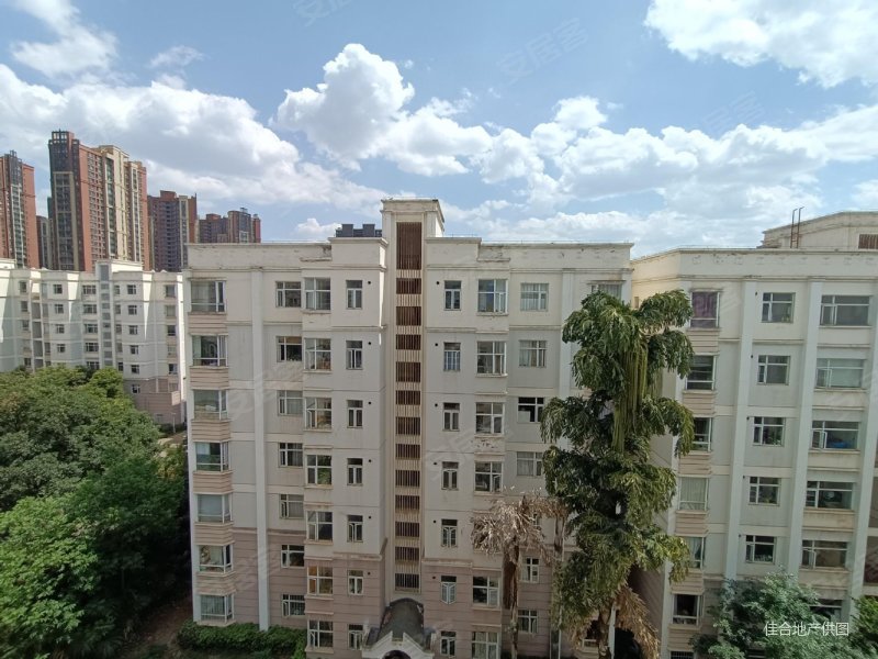 房东急售新安中旁兴屯二期南北通透三室两厅户型方正明亮通透