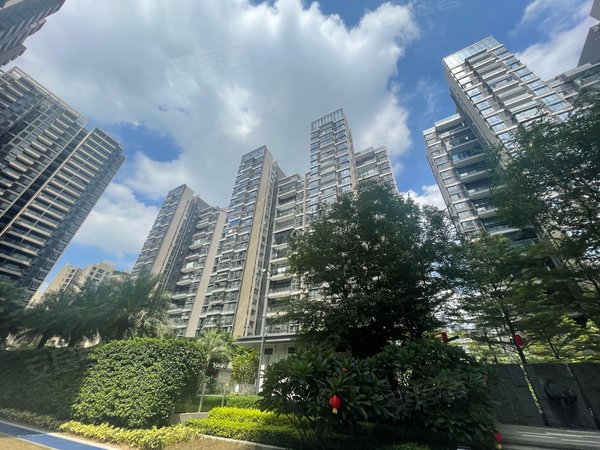 广州荔湾广钢新城保利堂悦保利堂悦 网红小区3室 精装修 配套齐全出租