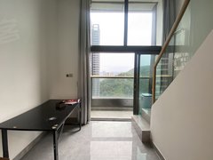 深圳罗湖布心新空置1房，客厅挑高4.5米舒适大气，业主人很好租金可沟通出租房源真实图片