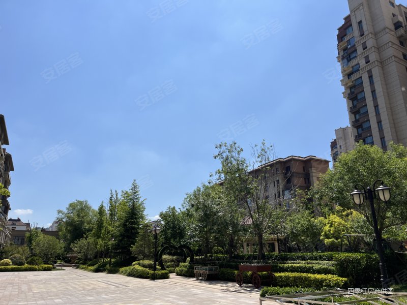 新都中小 恒大悦澜庭 新小区 精装修南向客厅 双卫