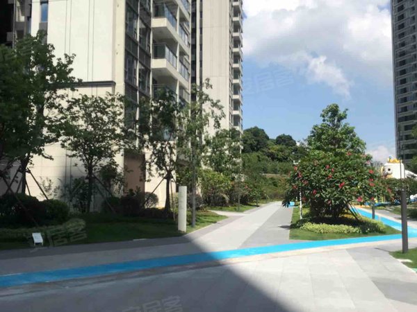 广州南沙进港大道方圆星宇月岛房源采光好,南北通透,业主诚意出出租