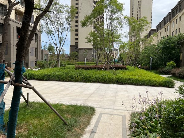沈阳沈北新区道义吾悦华府(一期)真实  急租 近地铁 吾悦华府一期