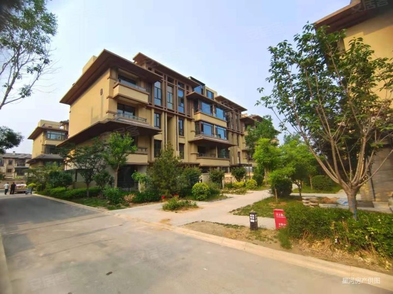 大者(别墅)3室2厅2卫243㎡南北398万