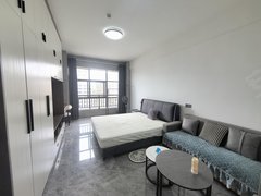 宜春袁州宜阳新区宜悦城精装公寓急租 近天虹 翡翠城 市政府 万达广场出租房源真实图片