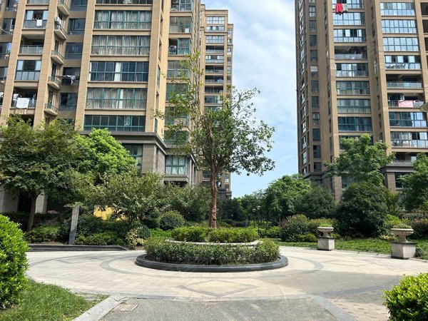 绍兴柯桥杨汛桥学府新城星云园树人大学旁,次新小区,绿化环境好,生活