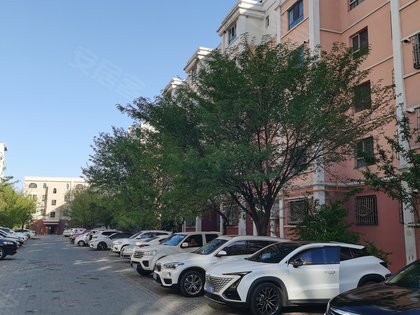 君悦龙庭 伊宁市-伊宁市体育中心-平安街