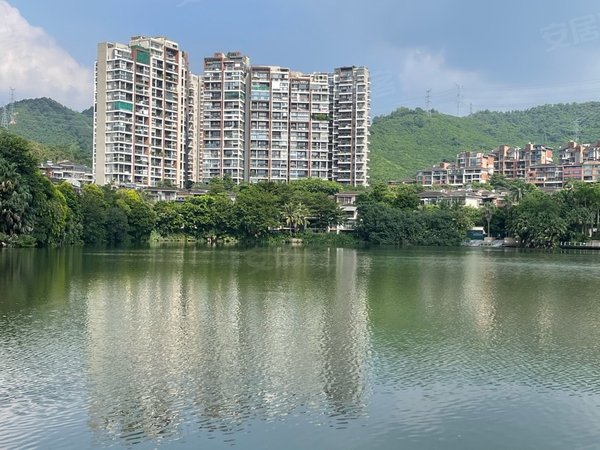 深圳龙华梅林关口星河丹堤星河丹堤f4高层全新装修全湖景大复式,家私