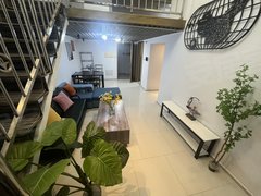 广州南沙金洲防冬猪！0中间肺！实拍！诚租客户约看有阳台出租房源真实图片