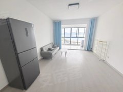 巢湖北门北门片区新二中对面 滨湖景城 3房2厅1卫 精装修 拎包入出租房源真实图片