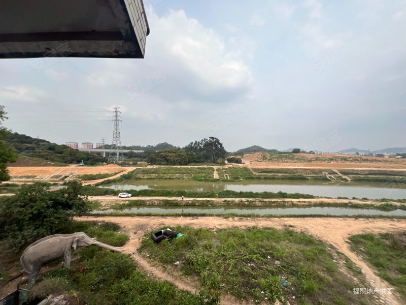 (独栋别墅)满五 地段优势 花园超大 位置居中 出国急售,东湖山庄(别墅