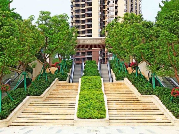 【多图】荣和千千树,凤岭北租房,w 千千树三房 精装修 家具家电配齐