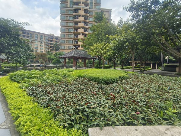 【多图】雅居乐滨江花园,街口中心区租房,雅居乐温馨两房 家私电器