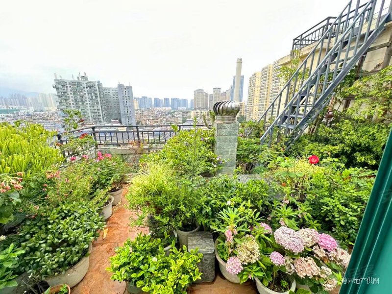 带车位带屋顶花园60平米二环内电梯小高层出售绝世好房先到先得