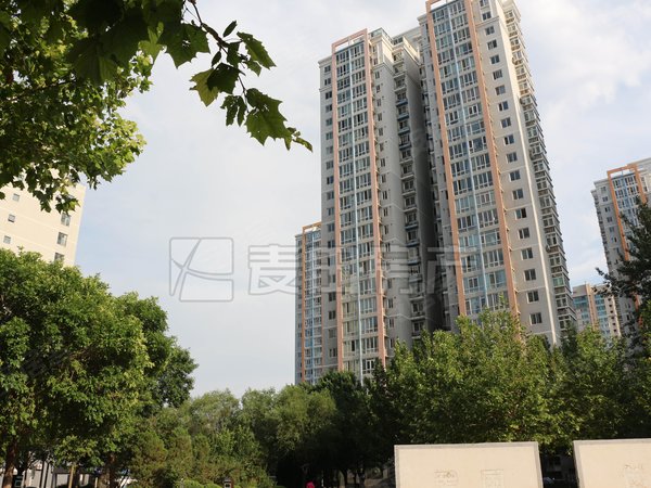 【多图】银领国际,望京租房,1室1厅 银领国际,朝阳租房-北京58安居客