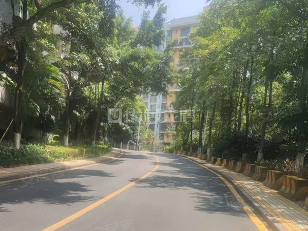 南宁青秀仙葫天池山户型方正 南北通透天池山小区 2房2厅出租出租房源