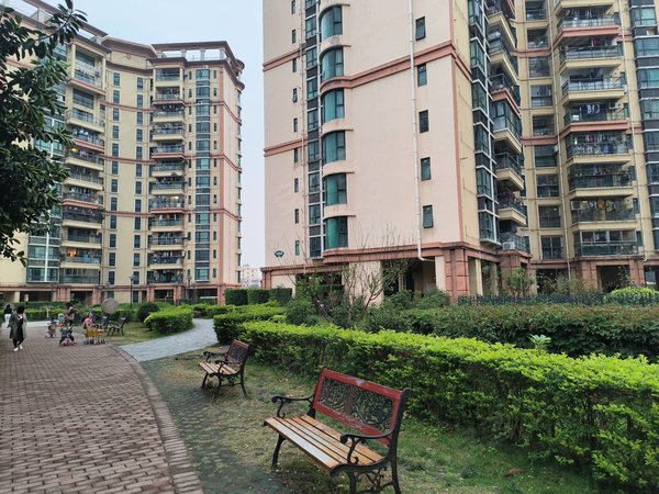 深圳宝安福永金域豪庭(三期)中介小朱 只做证实房源 金域豪庭精装一房