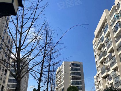 不足,桃源林语怎么样,桃源林语周边房产中介经纪人评价-嘉兴安居客