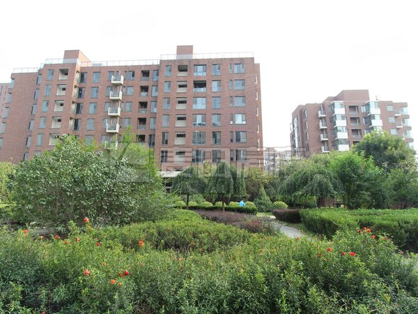 【多图】北京香颂,望京租房,北京香颂 2室1厅1卫 电梯房 配套齐全 精