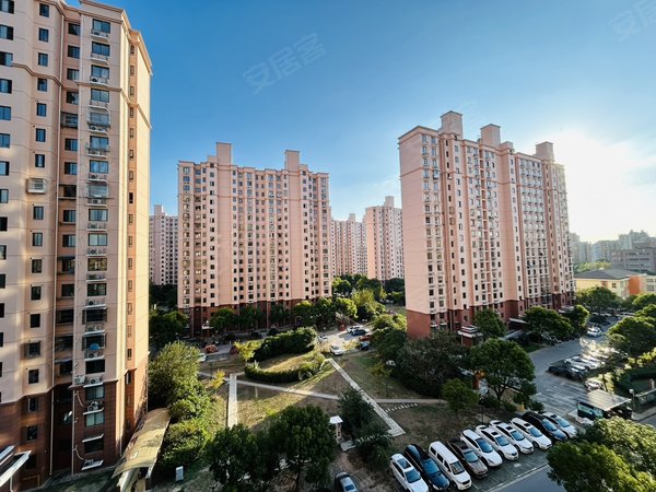上海浦东航头金沁苑(南区)金沁苑整租大一房.阳台大,采光通风优异.