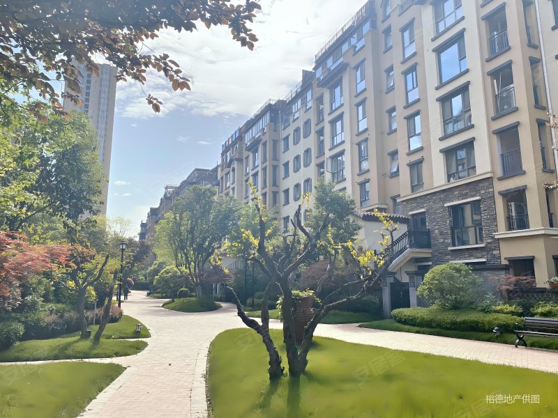 龙湖花千树洋房顶跃精装修满二随时看房业主自住带车位