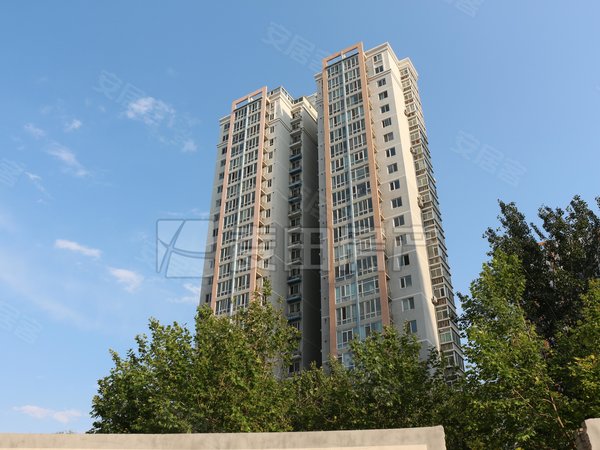 北京朝阳望京银领国际1室1厅  银领国际出租房源真实图片