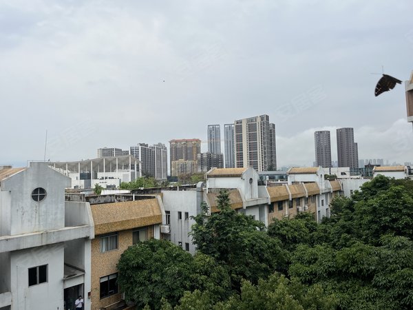 【多图】九洲花园,吉大租房,几乎空房 九洲花园 2000租 南向两房 随时