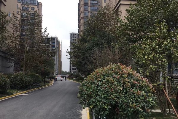 嘉裕天城(一期),商贸路,近坎山路 - 杭州嘉裕天城(一期)二手房,租房