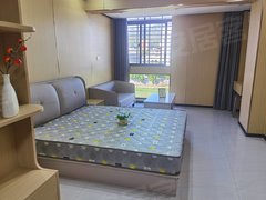 泉州洛江河市镇溪头村公寓房 1室0厅1卫 豪华装修 电梯房出租房源真实图片